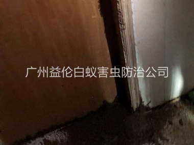 从化白蚁危害防治工程