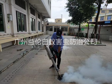 南沙社区消灭蚊子工程