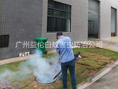 增城厂区杀蟑螂蚊蝇工程