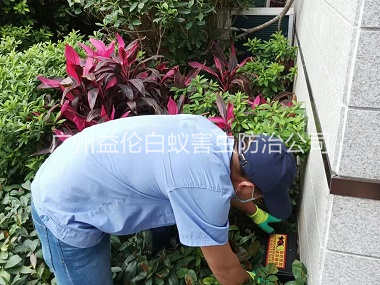 广州住宅环境灭鼠工程